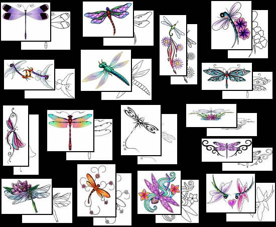 Dragonfly Tattoo Designs & Gallery Dragon Fly free tattoo ideas