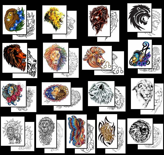 Choose from lots of Great Lion Tattoo design ideas at TattooJohnnycom