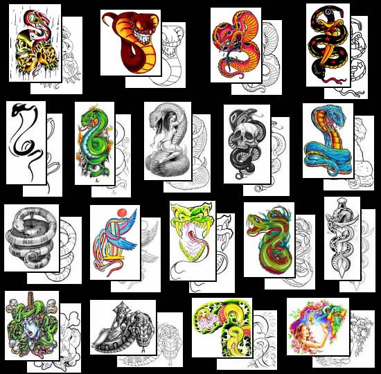 Pick out your snake tattoo from amazing Snake Tattoo designs at Tattoo 