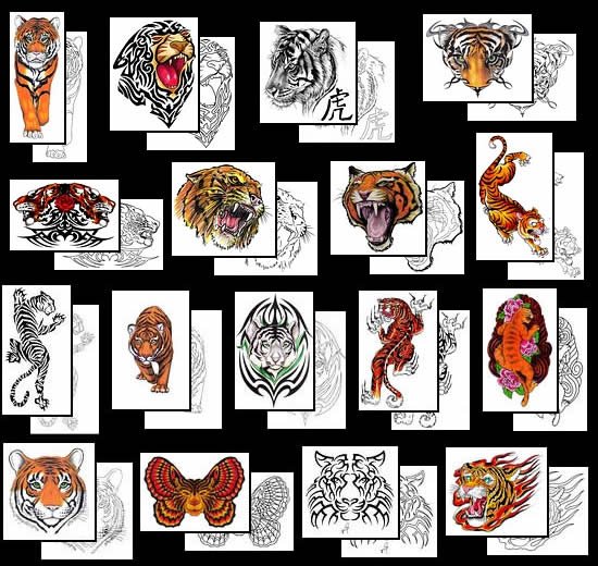 Choose Your Own Great Tiger Tattoo Design at Tattoo Johnny