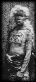 Early photo of a Haida Chief with a large tattoo of a Bear on chest and upper arms, and a Whale tattoo on his forearm.