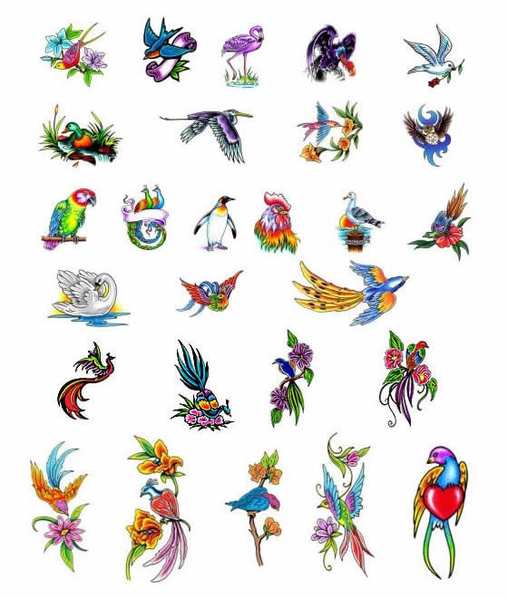 You can get plenty of bird tattoo designs on the internet. Old School Tattoo