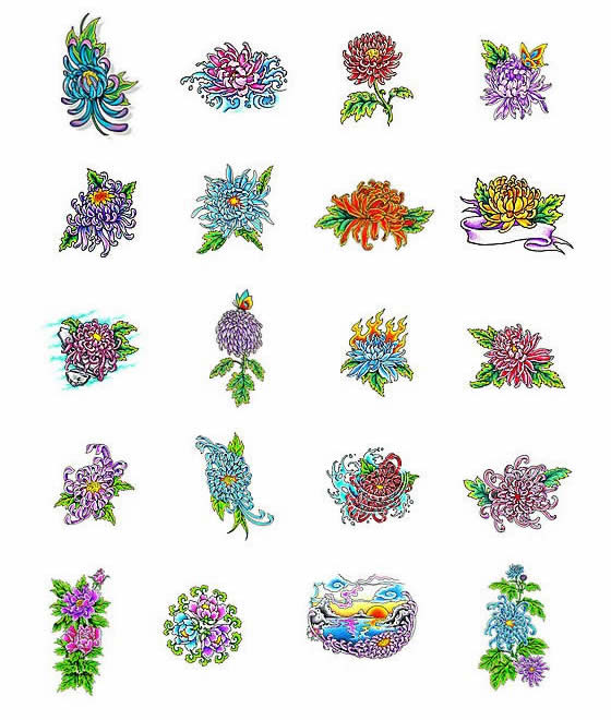 Chrysanthemum tattoo designs