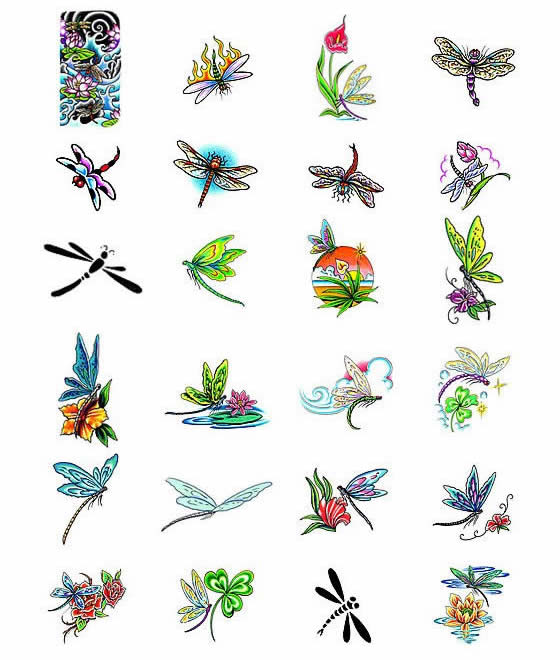 Source url:http://www.tattootalent.com/dragon-fly-tattoo-designs 