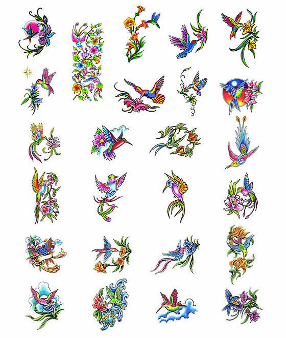 Hummingbird Tattoo Meanings Size:560x660