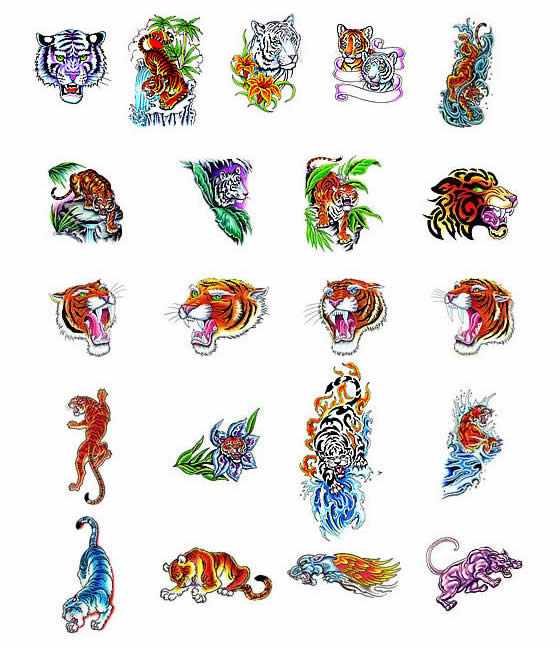 Choose your own tiger tattoo design from TattooArtcom