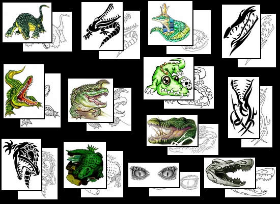 Buy your Alligator tattoo design ideas here!