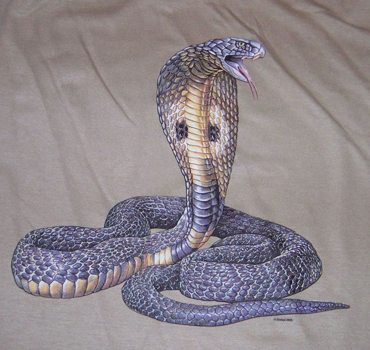 COBRA PICTURES, PICS, IMAGES AND PHOTOS FOR YOUR TATTOO INSPIRATION