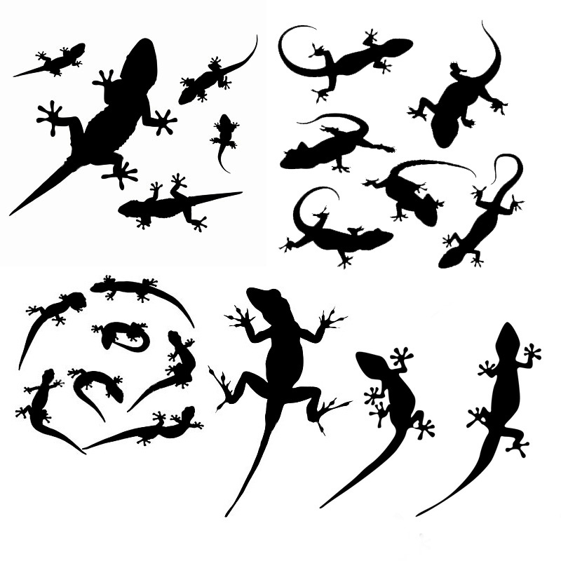 GECKO PICTURES PICS IMAGES AND PHOTOS FOR YOUR TATTOO INSPIRATION