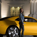 bumblebee