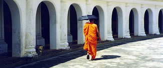 Wat Bang Phra - The Temple of the Flying Tiger