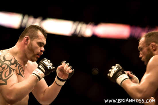ALL IMAGES ARE COPYRIGHT © BRIAN MOSS