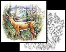 Deer tattoo designs