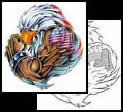 Eagle tattoo designs