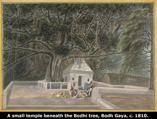 8. Bodhi tree temple tattoo designs - wide 4