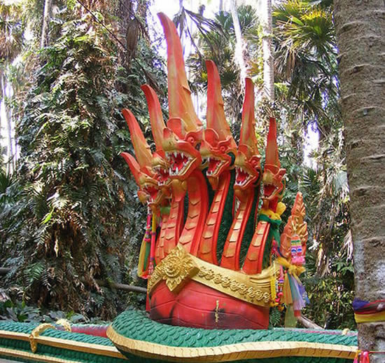 Nagas
