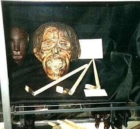 Polynesian tribal tattooing instruments in the Kuching Museum and Library