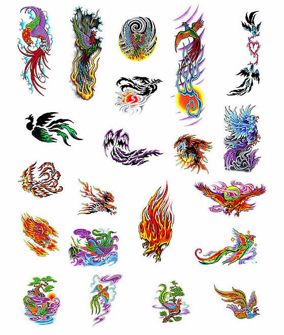Phoenix tattoos - what do they mean? Phoenix Tattoos Designs & Symbols - Phoenix tattoo meanings