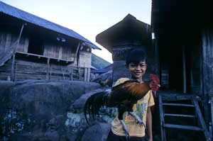 The Old Lubo warrior (mingor) and former police chief Candido Baliyao. The eagle designs on his sides originated with coins minted during the American Commonwealth period (1935-1946). When taken together, however, his entire chest tattoo (bikking) represents in abstract form the outstretched wings of the eagle. 