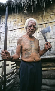 Jaime Alos, one the last tattooed warriors of the Dananao Kalinga, displaying traditional headhunting weapons: the spear and head-ax. The designs in the center of his chest (bridging his sternum) were believed to block the pathway of his enemy. The protuberances arching outwards above his navel are the horns of the carabao; a symbol of a war leader. The V connecting the horns symbolizes victory he said.
