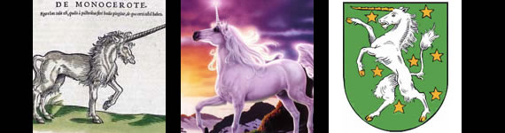 unicorn pictures