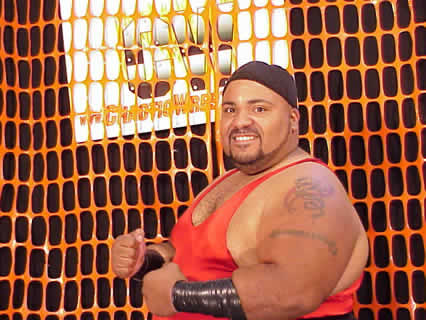 WWE / WCW wrestling
