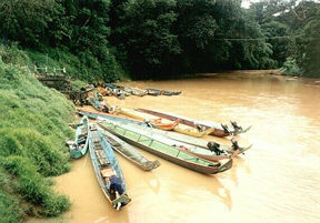 The Skrang River swollen and muddy is our hiway to the interior