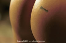 THIS IMAGE IS COPYRIGHT © 2001 femmefete.com