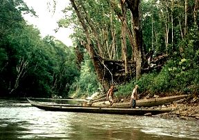 Traditional longboats that use only poles for propulsion