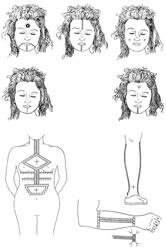 Women's tattoos of the Rif Berber of Morocco, ca. 1930.