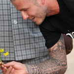 David Beckham