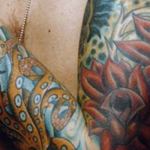 Josh Beech