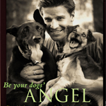 DAVID BOREANAZ