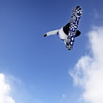 Shaun White 