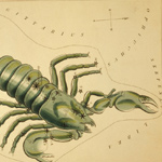Scorpio Sign