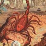 Scorpio Sign