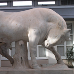 Bull