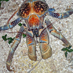 Crab