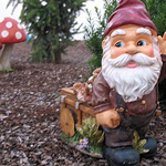 GNOME PICTURES, PICS, IMAGES AND PHOTOS FOR INSPIRATION