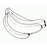 The Banana