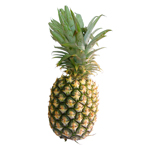 The Pineapple