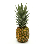 The Pineapple