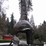 haida