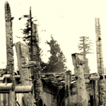 haida