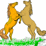 Horse