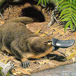 NEW SOUTH WALES
