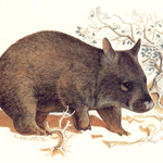 SOUTH AUSTRALIA