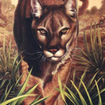 FLORIDA STATE