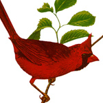 INDIANA STATE