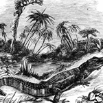 LOUISIANA STATE